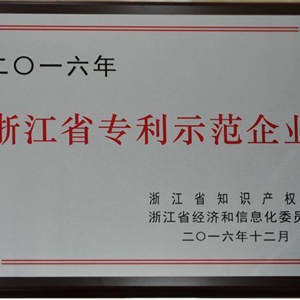 湖州新開元 浙江省專利示范企業